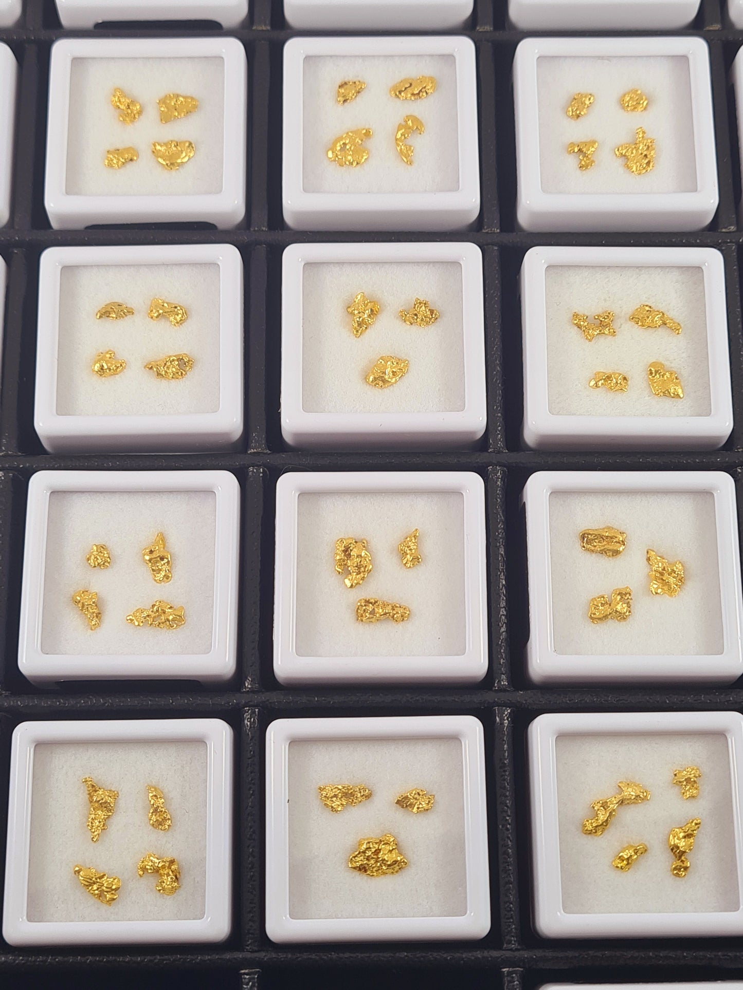 Tray of varied natural Australian gold nugget allocations